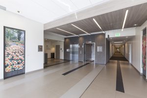 medical construction and design