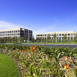 commercial office construction