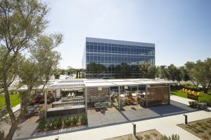 commercial office construction