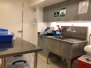 Sterile Room