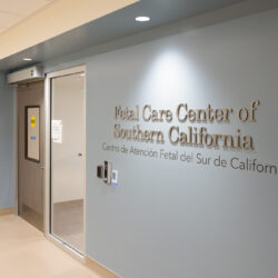 Fetal Care Center and Special Delivery Unit